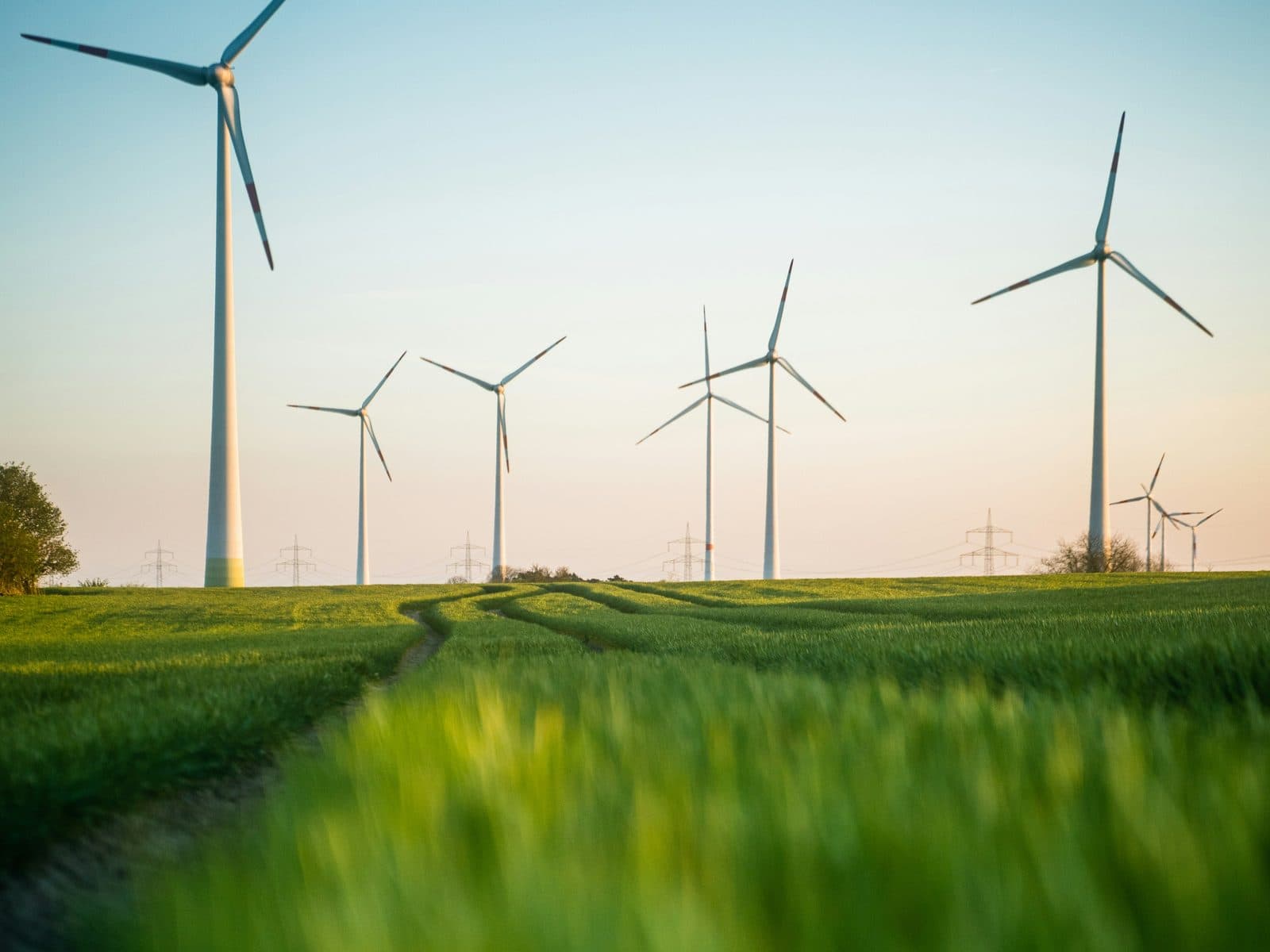 Artificial Intelligence Meets an Ageing Grid preview