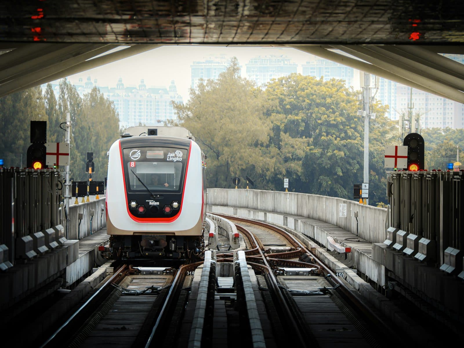 The Smart Investor's Guide to Investing in Indonesia preview